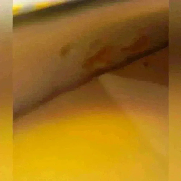 Manolo Blahnik Pearl Hangisi Black Flats - Picture 7 of 11